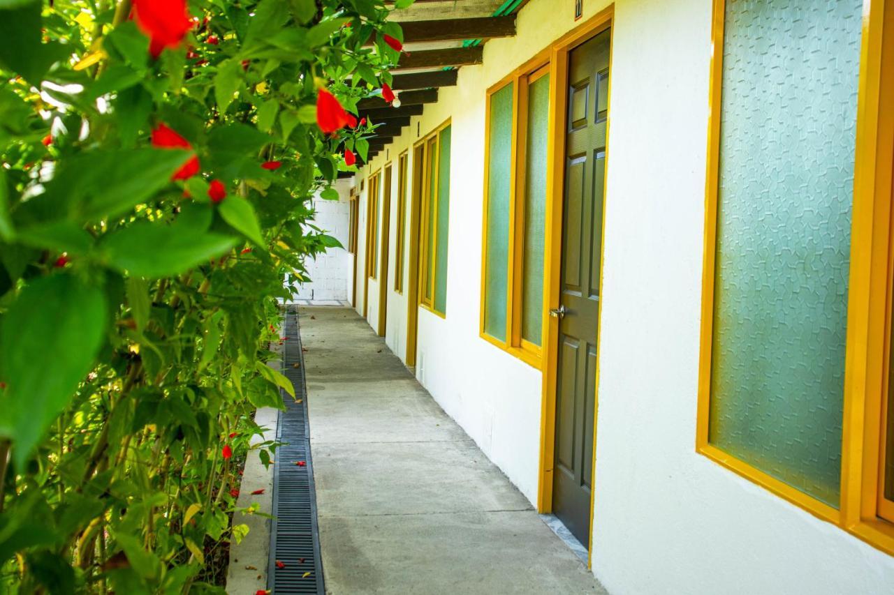 Hotel Villa Bosco 팔미라 외부 사진